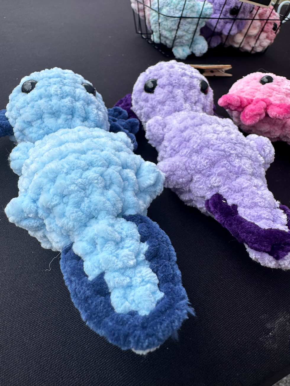 IMG_2421 2024-06-13 20_39_21