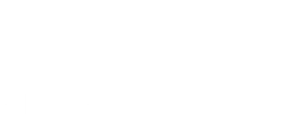 spacewire-rmap-white-trans_1_2x.png