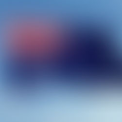 Protect Our National Symbols