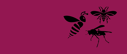 Hornet Wasp & Bee Extermination