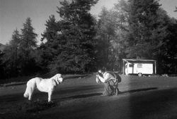 Photos argentiques noir et blanc prises avec pellicule Ilford, Charlotte Gamus.