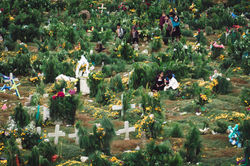 Cimetière lors de dia de los muertos au Mexique. Charlotte Gamus.