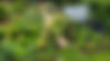 dji_fly_20240627_070414_50_1719464681918_photo_optimized.jpg