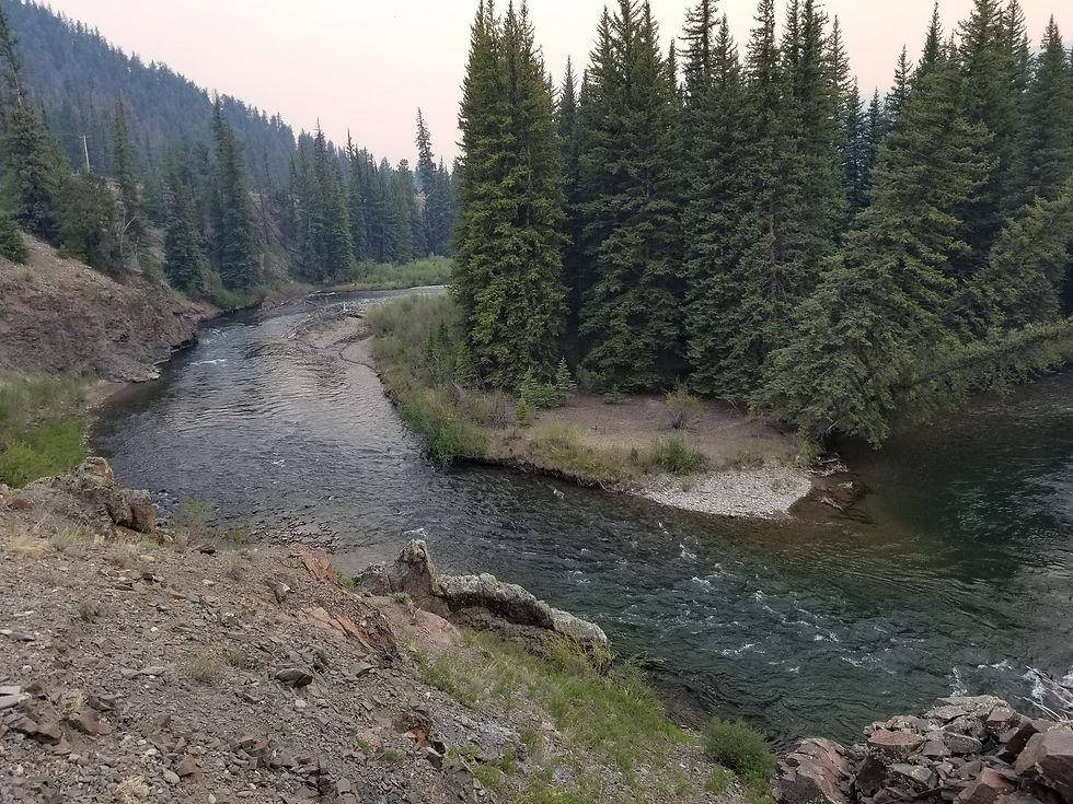 river from above, running in a canyon, trees