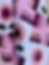 Thumbnail: Fenced In Quilt Pattern - PDF Download