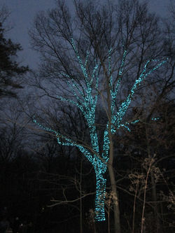 CVGC Party and Longwood 066