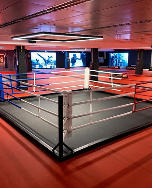 kampfsportbereich-Boxsäcke-Ring-Cagewalls.jpg