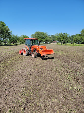 20210422_103935 (1).jpg