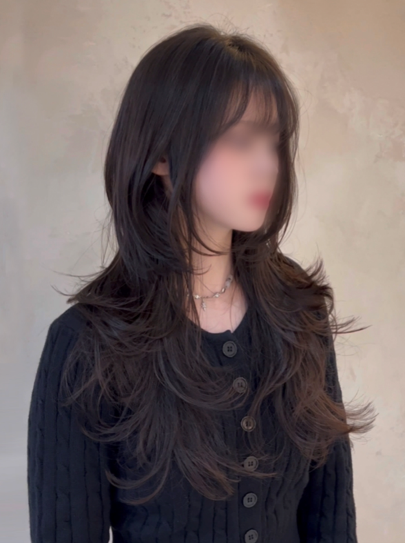 Korean Long Hair Layered Cut