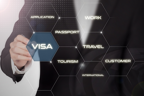 VISA APP.png