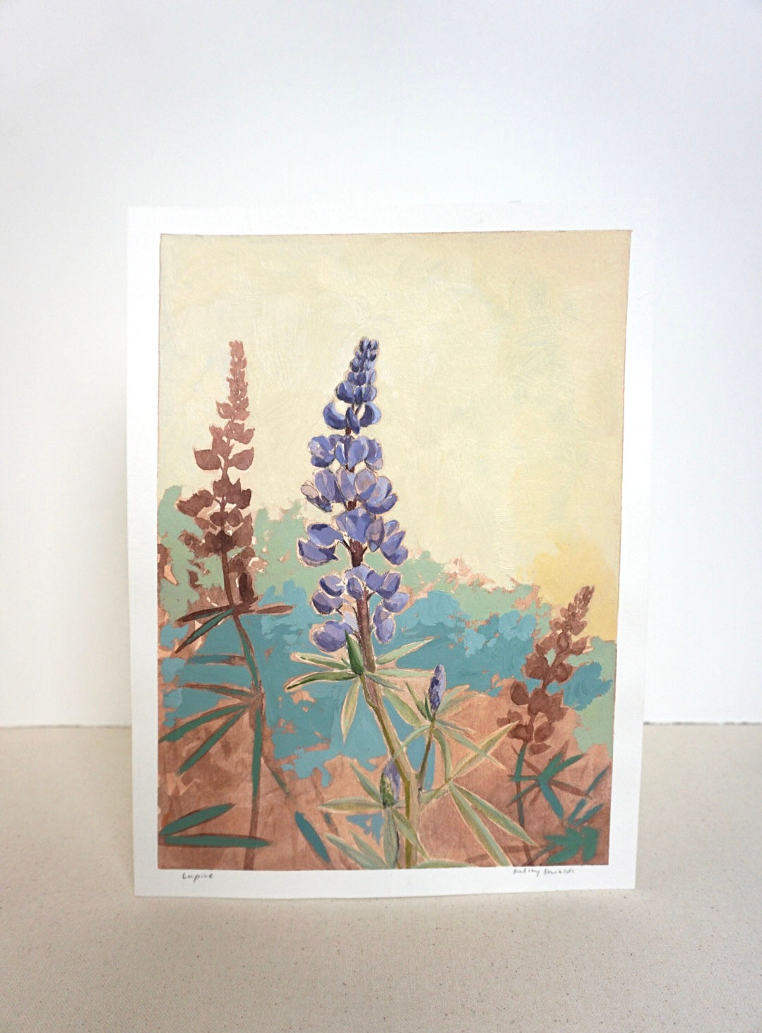 Wild Lupine
