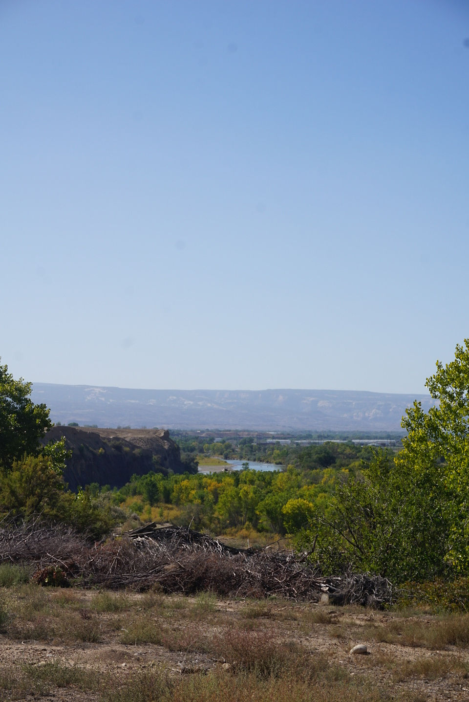 The view westward following a windy river.