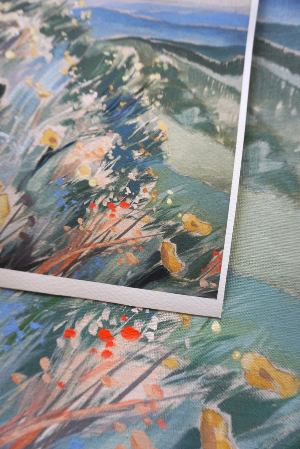 Thumbnail: Summit Wildflowers | Colorado Mountaintop Archival Print