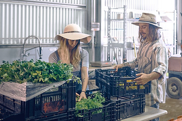 Farmers Warehouse