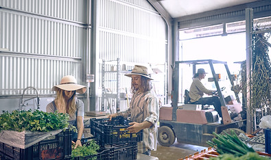 Armazém de agricultores