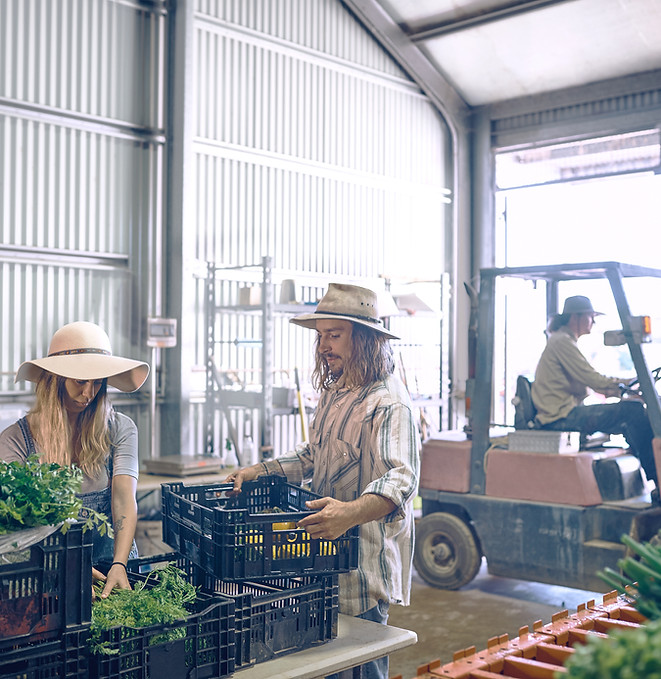 Farmers Warehouse