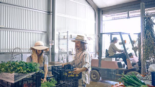 Finding efficiency on the farm