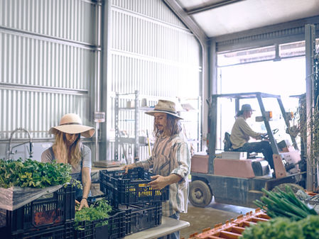 Finding efficiency on the farm