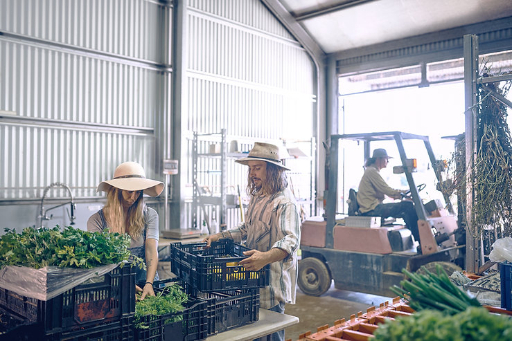 Farmers Warehouse