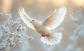 Flying Dove