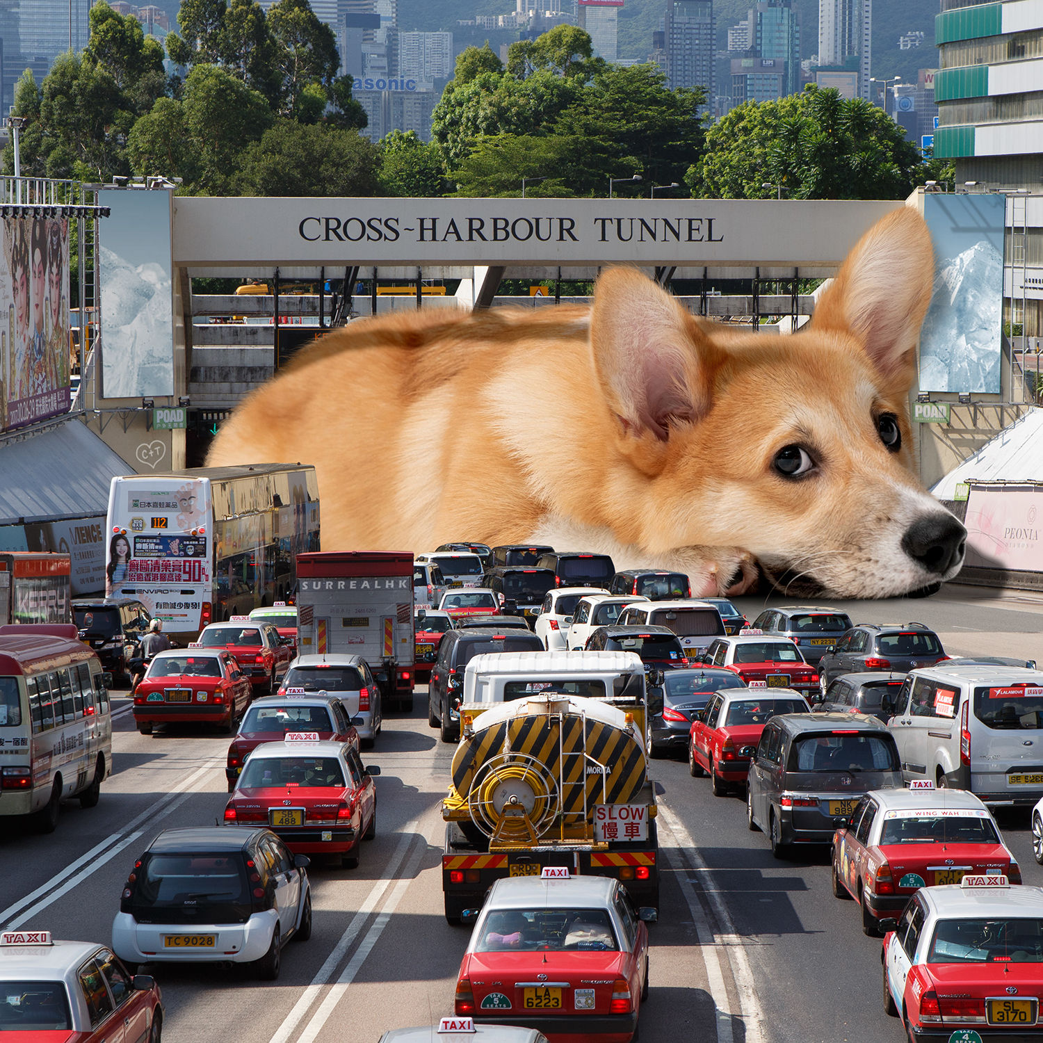 CORGI HARBOUR TUNNEL (2022)