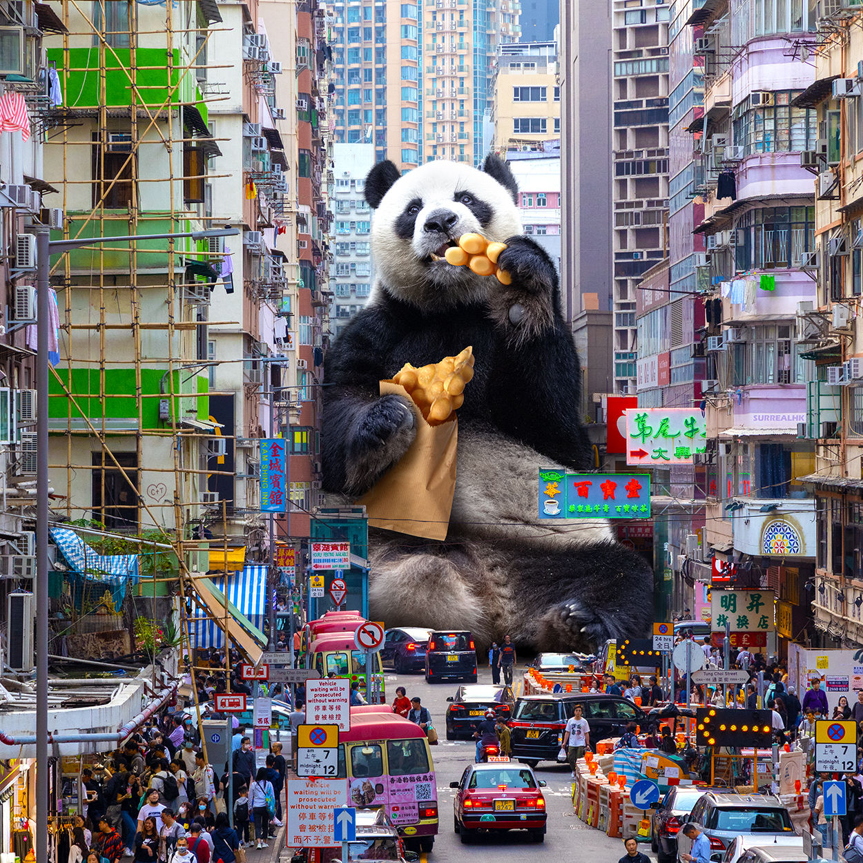 Panda eating Egg Waffle (2024)