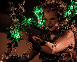 spectacle_d'échassiers_puck_et_geleniel_rêve_d'orée_edited_edited