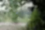 Nichoir.webp