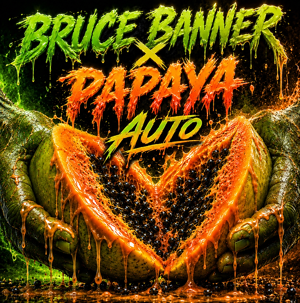 Bruce Banner x papapa Auto - happy seeds.png
