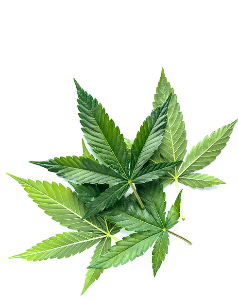 shutterstock_1725234505_edited.jpg