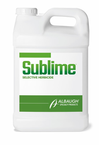 Albaugh Sublime | pendelton