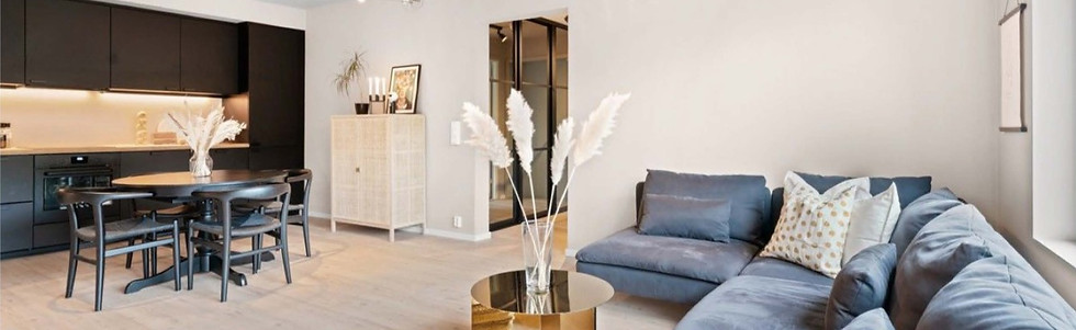 Hasle Presentasjon_Side_12_edited.jpg