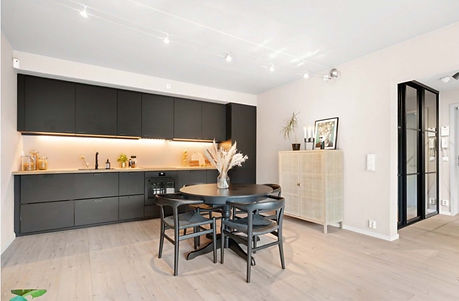 Hasle Presentasjon_Side_11_edited_edited.jpg