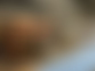 H.C.R国際福祉機器展2026今年もビックサイトでお会いしましょう。ワイズクラフト会場No7-06-07になります。