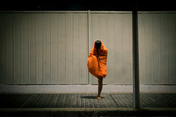 Silvana Gajardo _ Palimpsesto #04