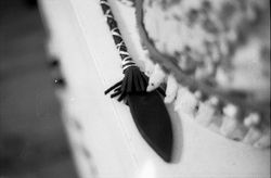 Camila Lebel _ EL ESPECTÁCULO DE LA ESCOPTOFILIA #01