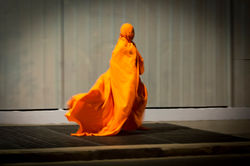 Silvana Gajardo _ Palimpsesto #03