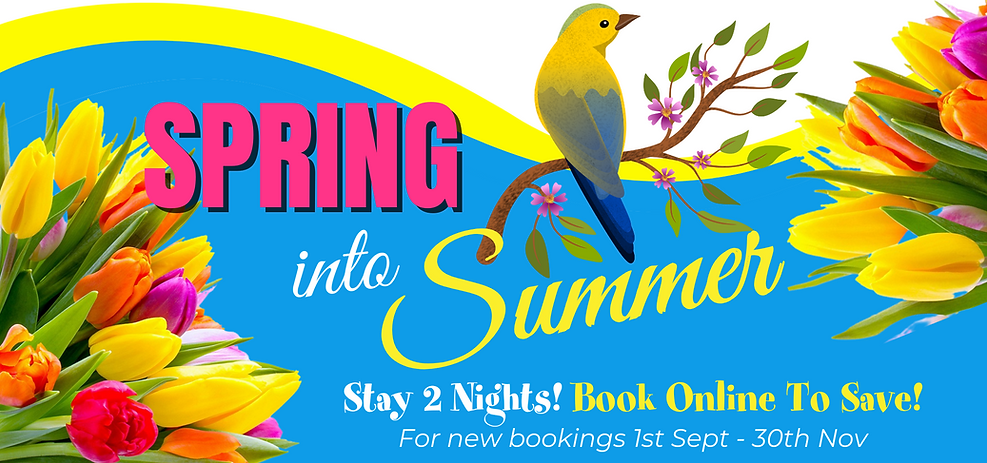 Summer (14).png