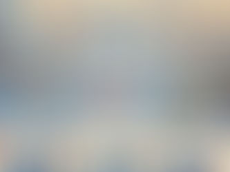 特定技能が制度化された背景・目的