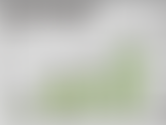 介護や農業支える外国人、識者「日本社会は外国人材なしに成り立たない」…人口減で「共生」の時代到来