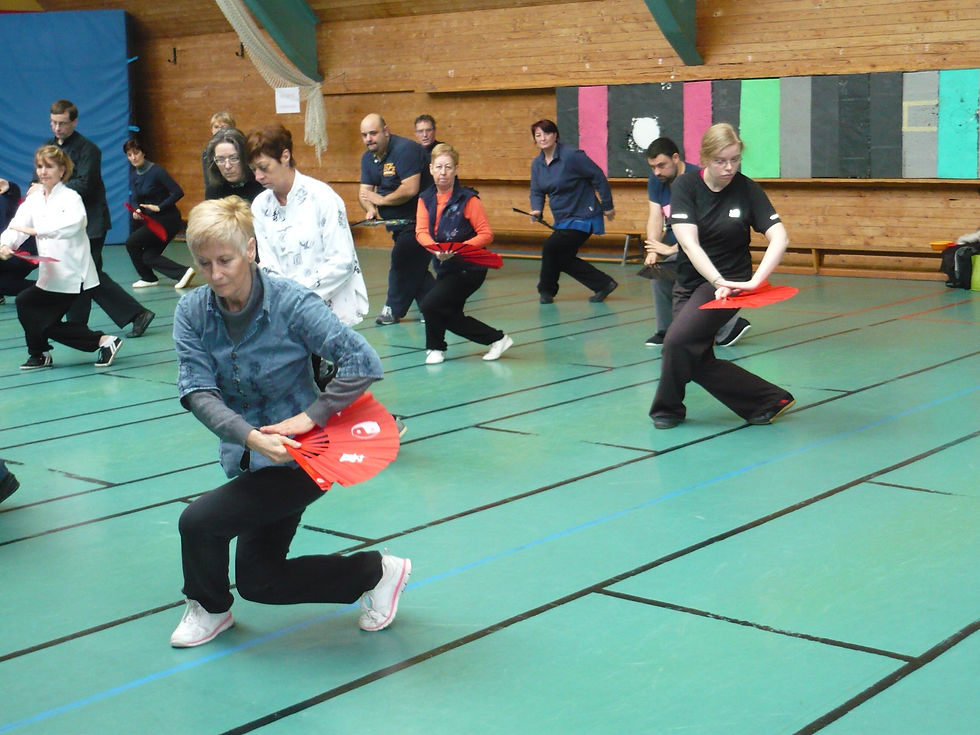 Stage éventail de 2016