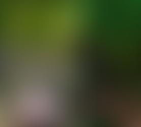 Think You Have To Put 20% Down? Most First-Time Homebuyers Don’t.