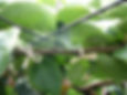 hilo de papel agro