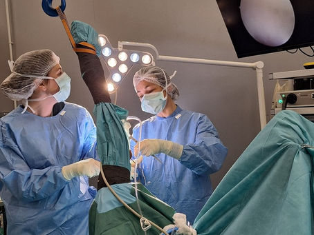 Chirurgie équine, réalisation d'une arthrosocopie