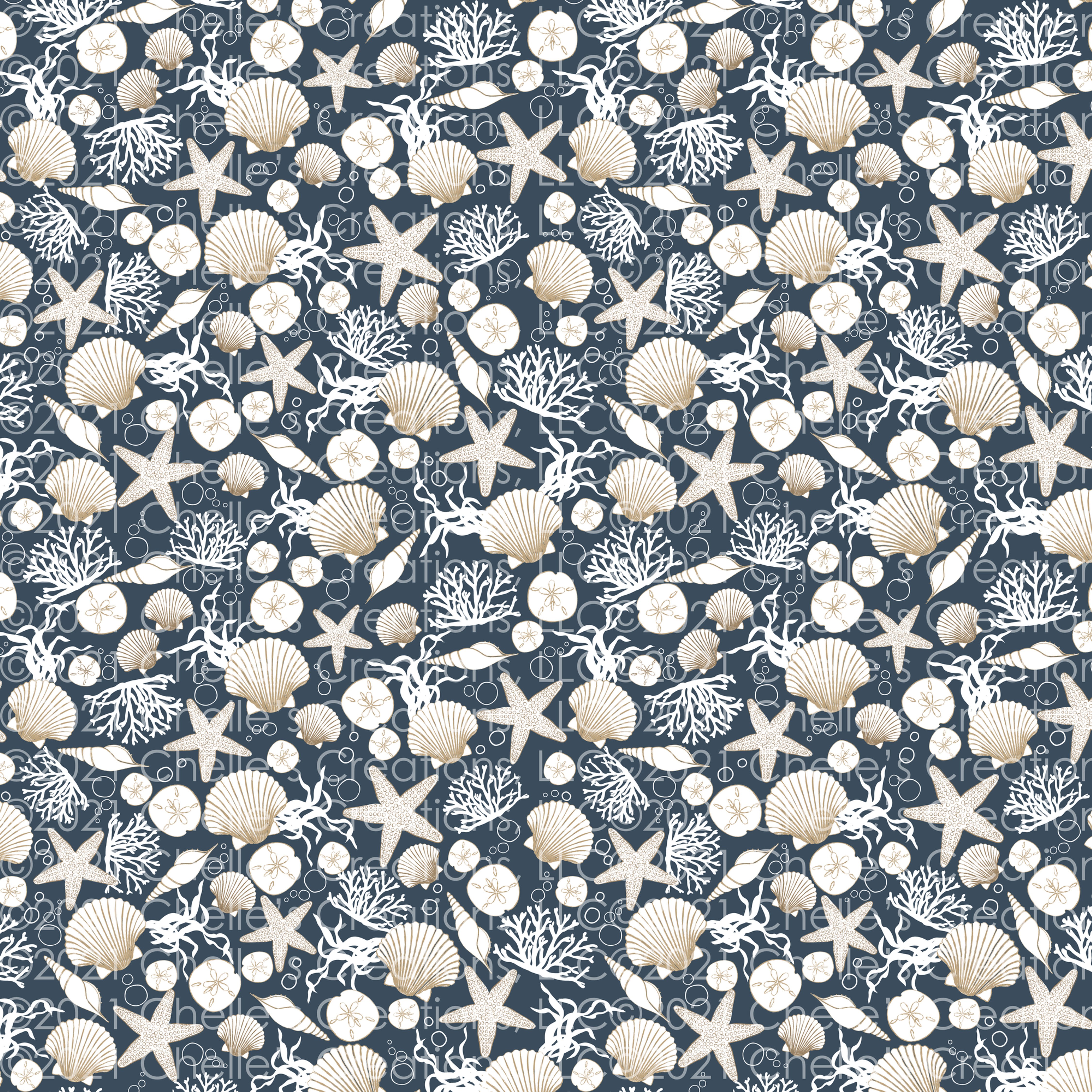 CC-2021-Seashells-CL1