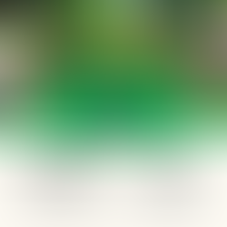 2025 Annual General Meeting