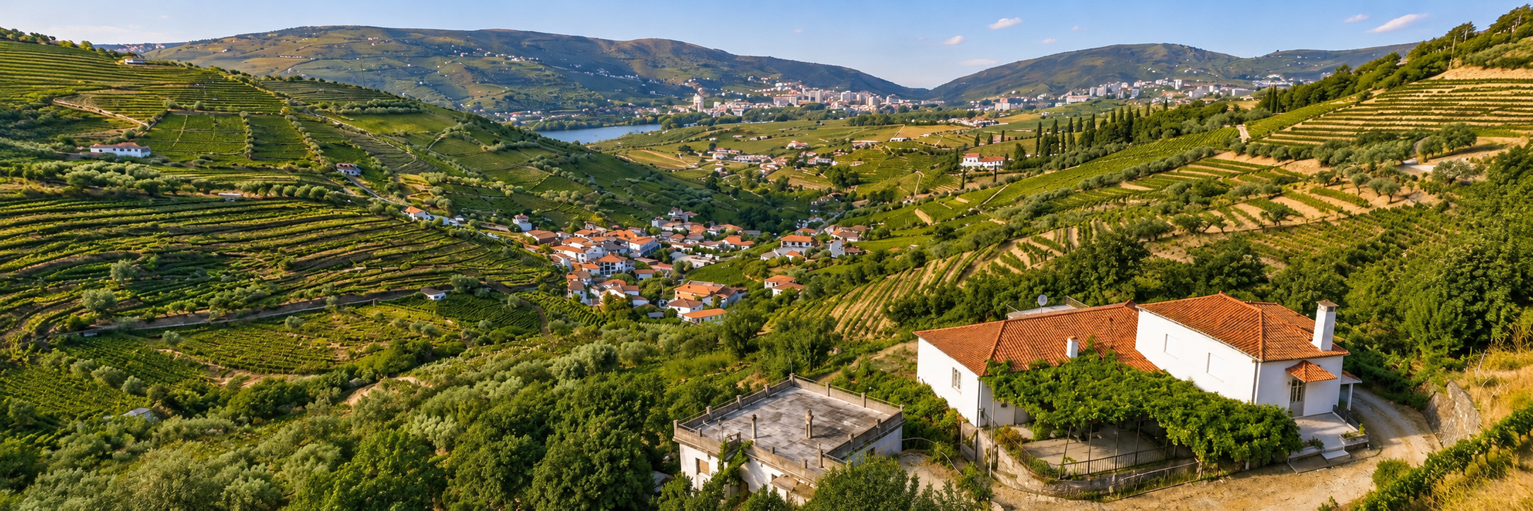Domaine viticole au Portugal avec vignobles en terrasses et paysage vallonn&eacute;, pr&eacute;sent&eacute; par Lagos Homes Real Estate Buyers Agent Benjamin Seide