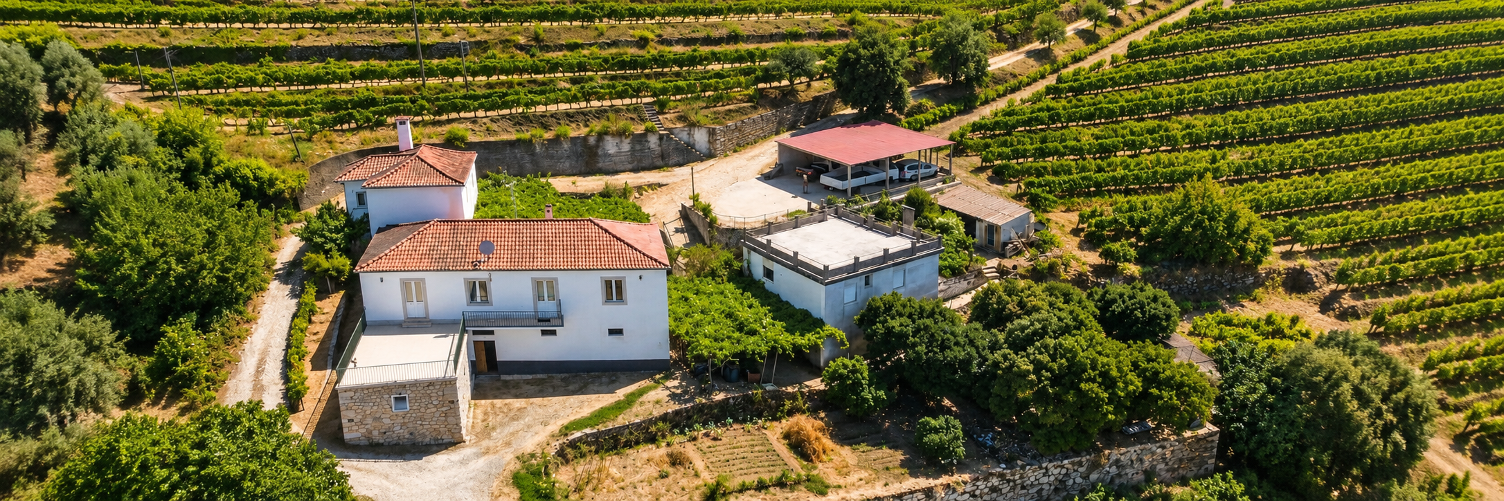 Domaine viticole au Portugal avec quinta traditionnelle et vignobles en terrasses, pr&eacute;sent&eacute; par Lagos Homes Real Estate Buyers Agent Benjamin Seide