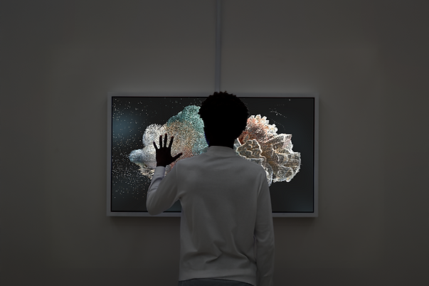 kolčáková - kopie.png