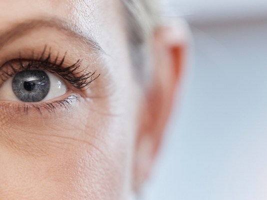 Protecting the Gift of Sight